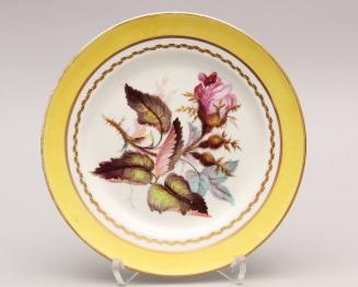 Pair of dessert Plates with named botanicals