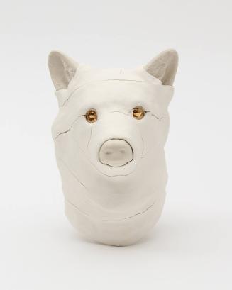 Bandaged Coyote Head, North of North Series