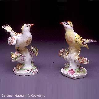 Two Figure  of finches