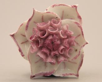 Anemone-type flower