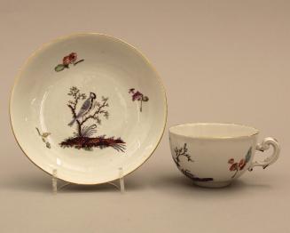 Cup and saucer with ornithological design