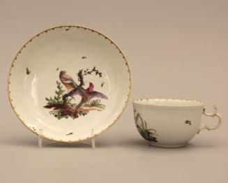 Cup and saucer with ornithological pattern